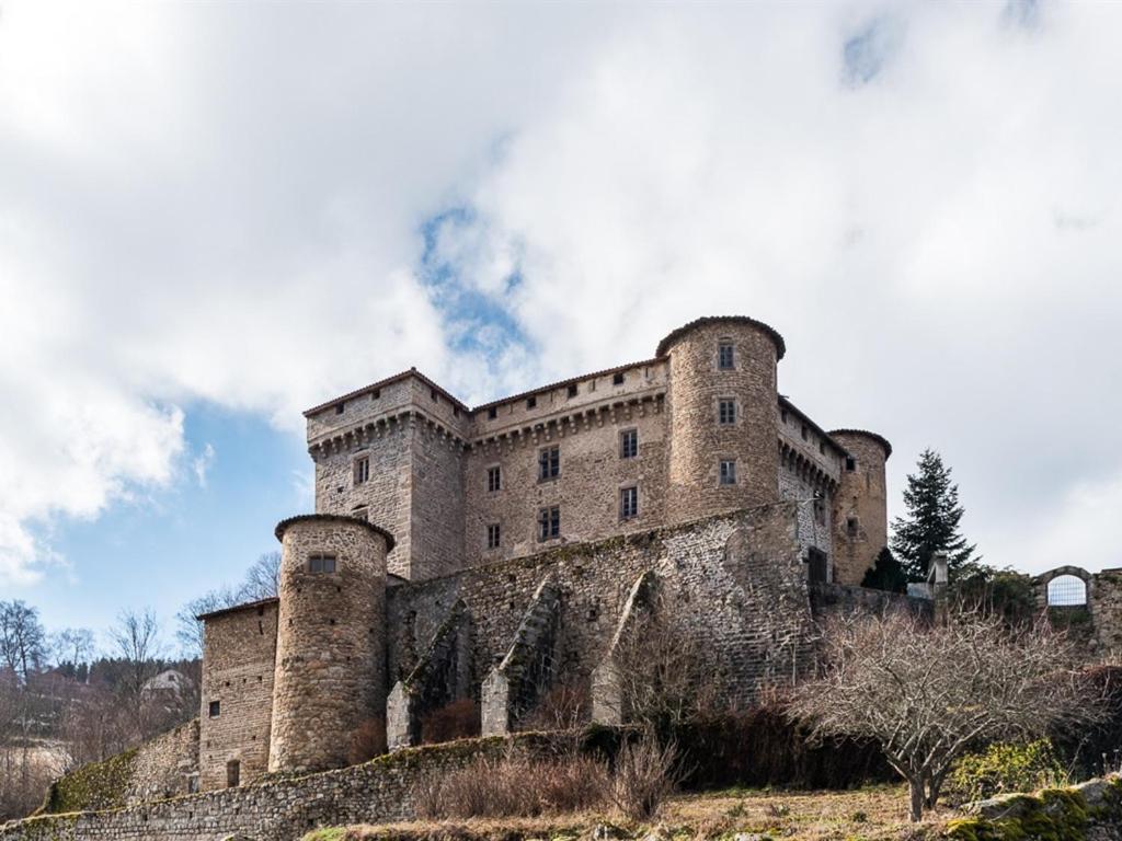 Chateau Des Marcilly Talaru Шальмазель Экстерьер фото